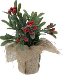 H&S Plant Met Bessen In Jute Pot