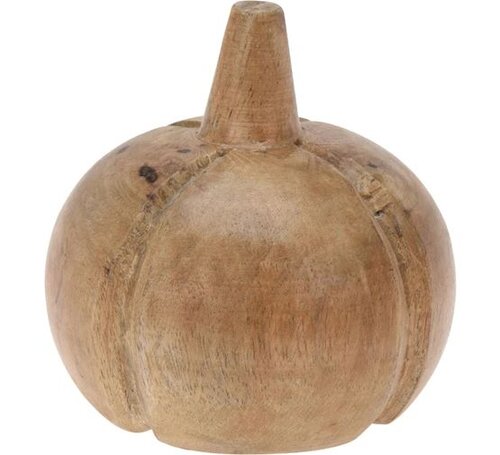 H&S Pompoen Deco Mangohout 10Cm