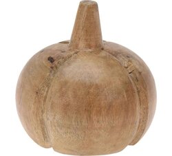 H&S Pompoen Deco Mangohout 10Cm