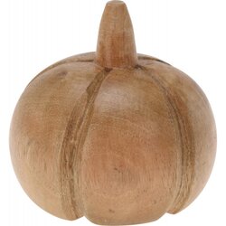 H&S Pompoen Deco Mangohout 11Cm