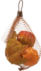 H&S POMPOEN DECO NETJE 15X20CM 2AS - afbeelding 2