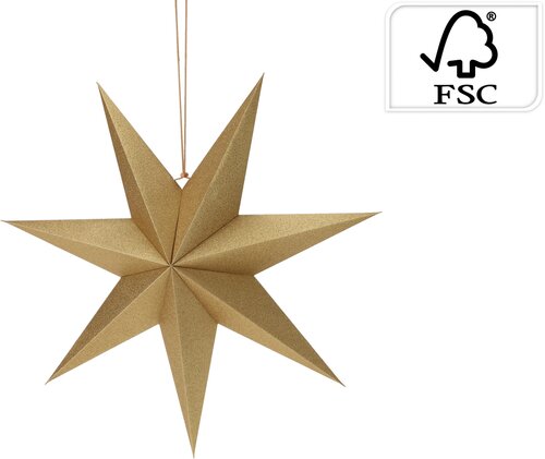 H&S Ster Papier 60Cm Goud (Fm)