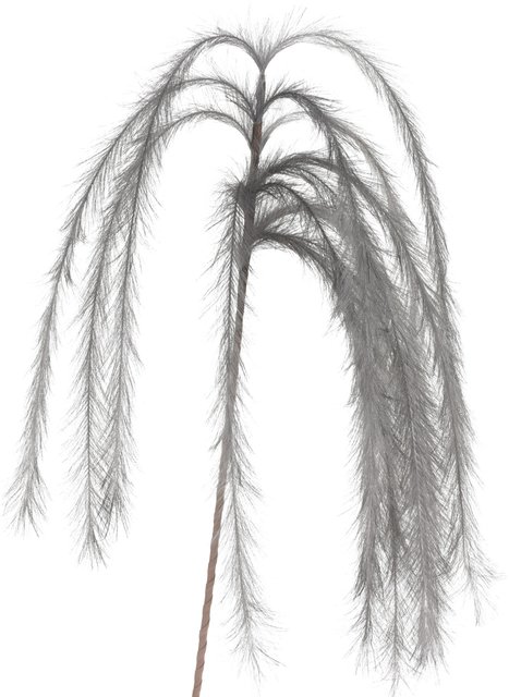 H&S Tak Soft Pluimen 130Cm Grijs
