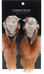 H&S VOGEL OP CLIP 14CM SET2 2ASS K - afbeelding 4