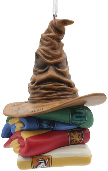Hallmark  HP HAT & HOUSE ROBE