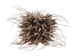 Hanger spider carnation d16cm bruin