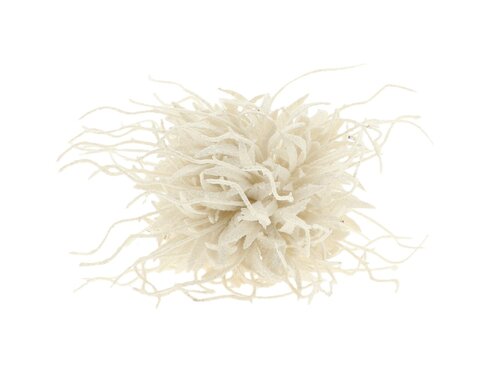 Hanger spider carnation d16cm wit