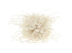 Hanger spider carnation d16cm wit