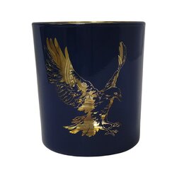 Harry potter Votive Harry Potter houses icons blue