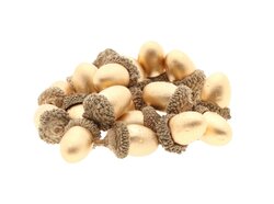 HBX Acorn 20Pcs