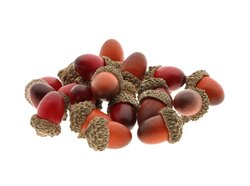 HBX Acorn 20Pcs