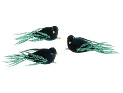 HBX Bird Regalia 3Pcs L15W15H6