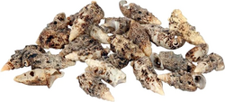 HBX Cerethium aloco 500gr natuur