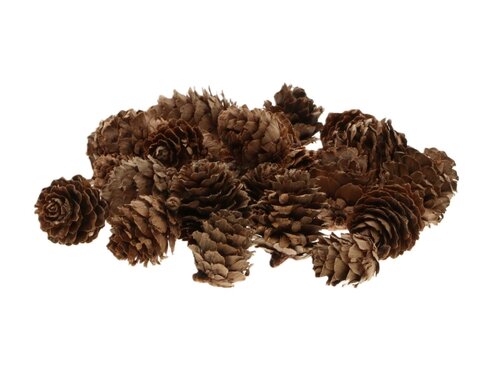 HBX Dennenappel baby 40g naturel