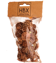HBX Dennenappel baby 40g naturel