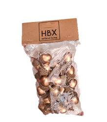 HBX Eikel 20st goud