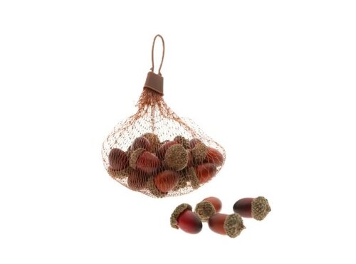 HBX Eikels bruin 20st