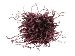 HBX Hanger Spider Carnation D16