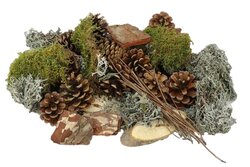 HBX Natural Living Basic Forrest Mix Large