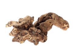 HBX Natural Living Basic Kuwa Root 40-50cm