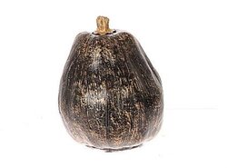 HBX Natural Living Deco Pumpkin Ulbing L8.5w8.5h11.5