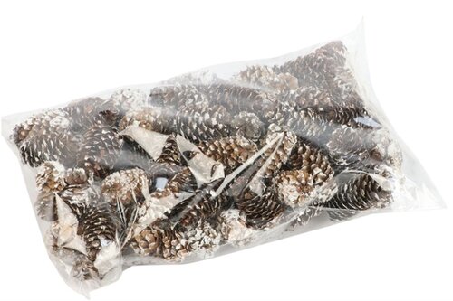 HBX Natural Living dennenappels mini 180 gr.