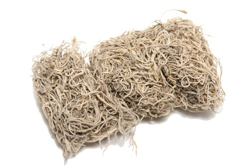 HBX Natural Living Hobby Tillandsia Moss 80gr - afbeelding 1