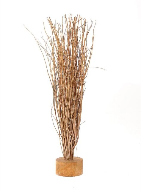 HBX Natural Living Stand. Broom Twigs h60.0