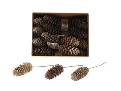 HBX Pinecone Dinan Glitter L7D3.5