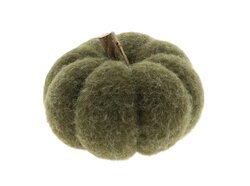 HBX Pompoen m.takje d14h11cm groen