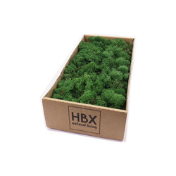 HBX Rendier mos 500g groen