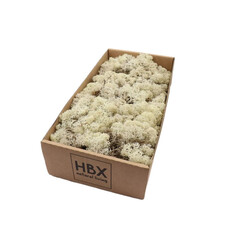 HBX Rendier mos 500g naturel