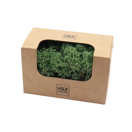 HBX Rendier mos 50g groen