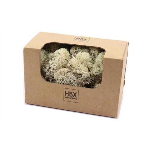 HBX Rendier mos 50g naturel a3