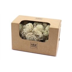 HBX Rendier mos 50g naturel a3