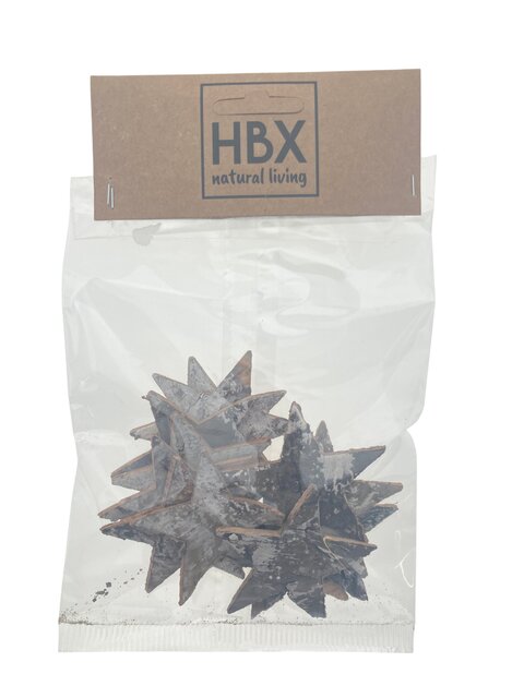 HBX Star Birch Deco 12Pcs