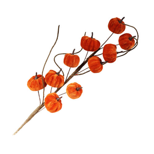 HBX Steel pompoen fluweel l70cm oranje