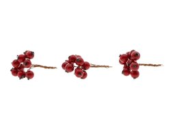 HBX Stem Berrie 30Pcs L7D1.2