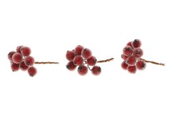 HBX Stem Berrie 30Pcs L7D1.3