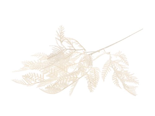 HBX Stem Fern Leaf L83