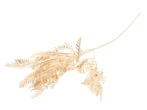 HBX Stem Fern Leaf L83