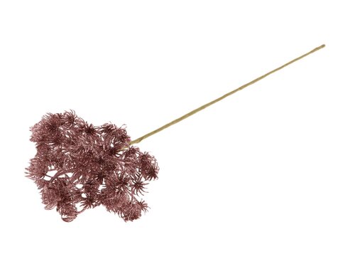 HBX Stem Heracleum Glitter L60D15