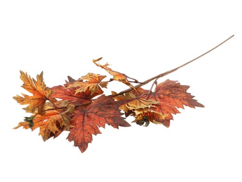 HBX Stem Maple Leaf L73W30H2