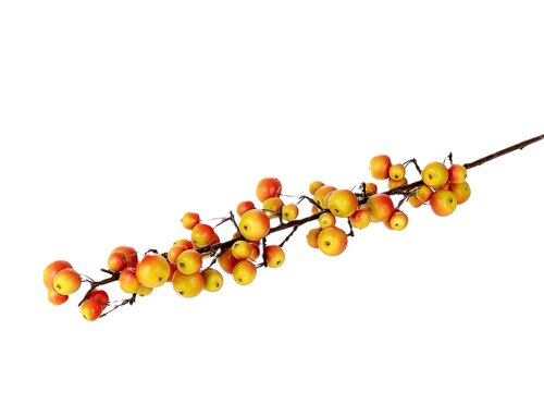 HBX Tak appel sentinel l135cm oranje