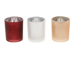 HBX Tealight Tree Jena 3Ass H8.2D7