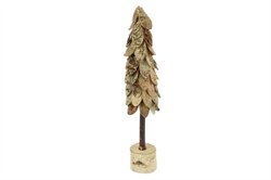 HBX Tree Birch H38
