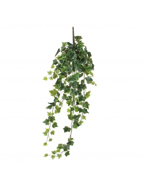 Hedera hangend groen bont - l86cm