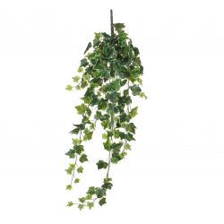 Hedera hangend groen bont - l86cm