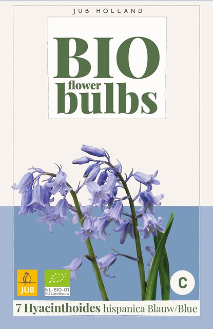 Hyacinthoides hispanica blauw 7st - afbeelding 1