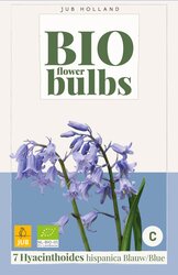Hyacinthoides hispanica blauw 7st - afbeelding 2